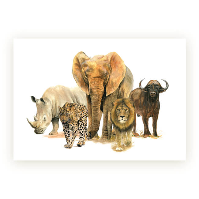 Watercolour African Gift Cards