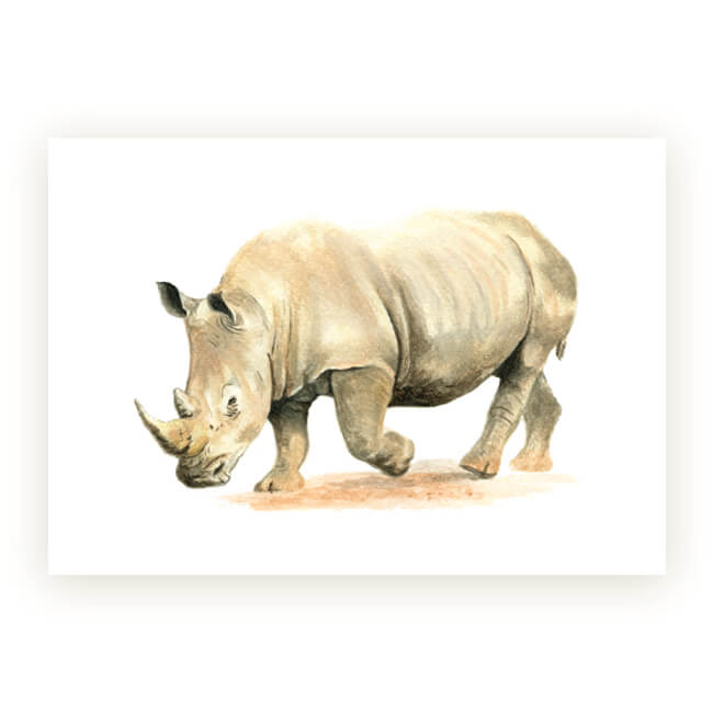 Watercolour African Gift Cards