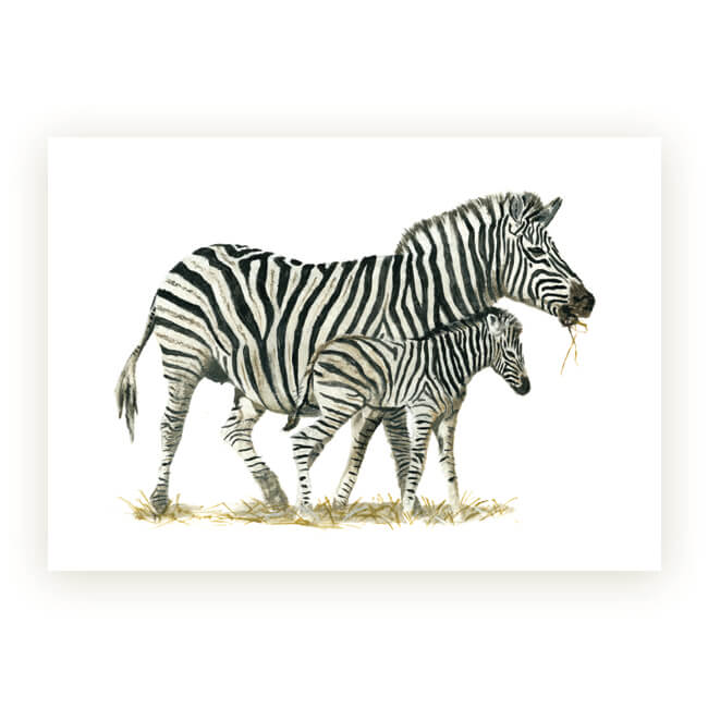 Watercolour African Gift Cards