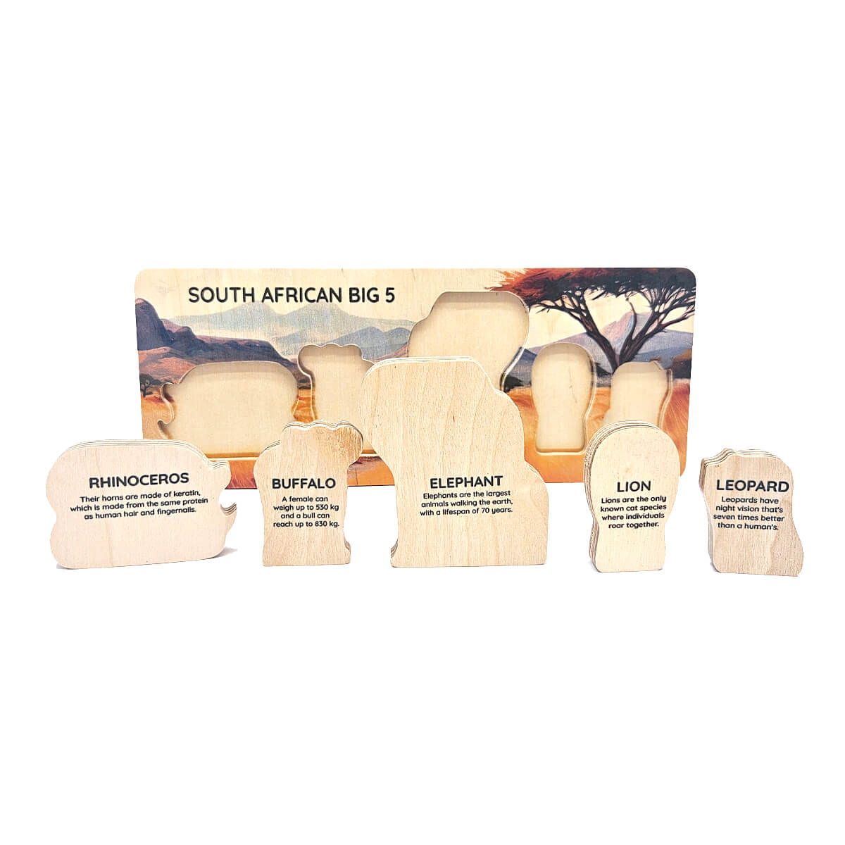 Wooden Baby Puzzle - Big Five