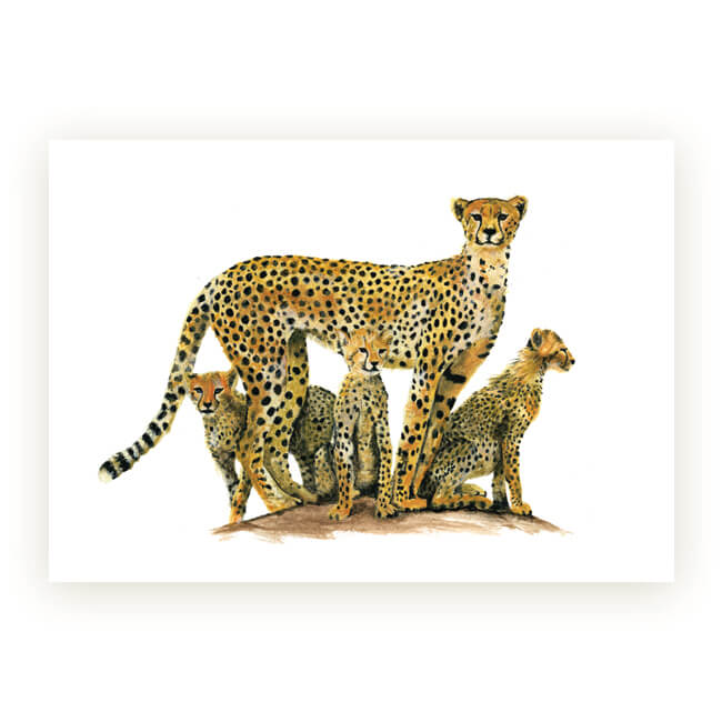 Watercolour African Gift Cards