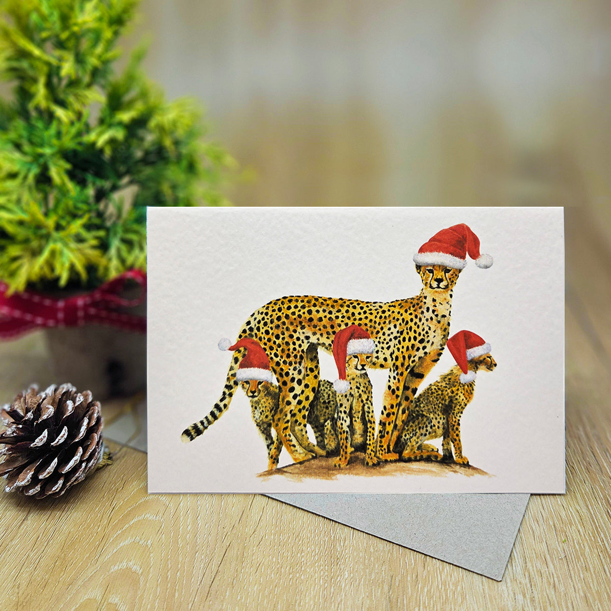 South African Animal Christmas Cards