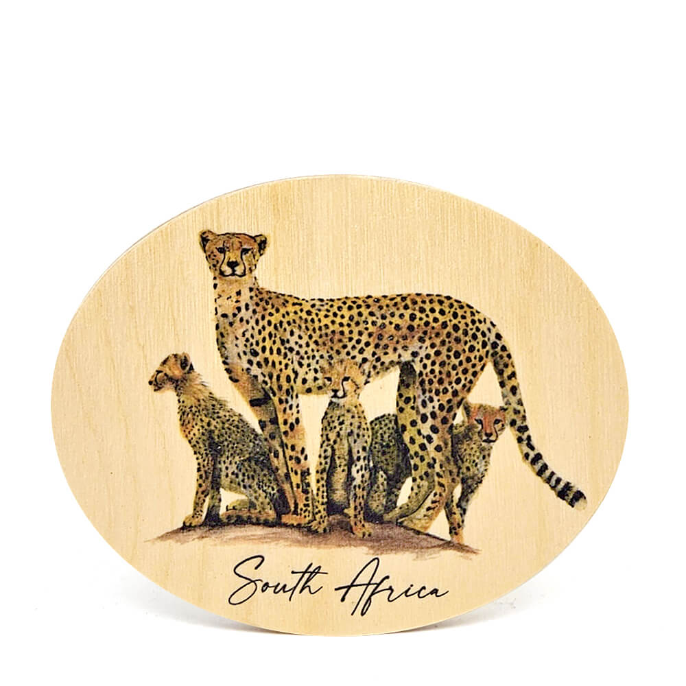 South African Wooden Fridge Magnets