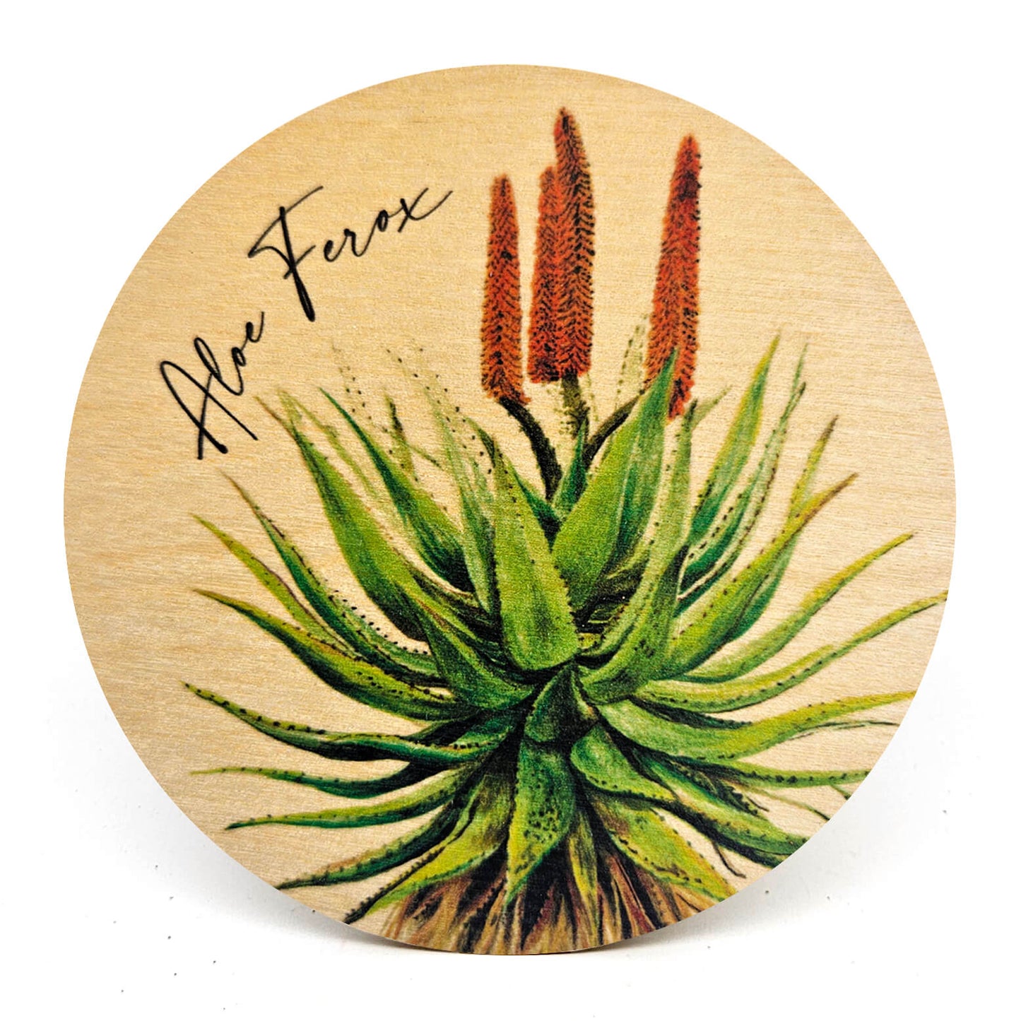 Animal Coasters
