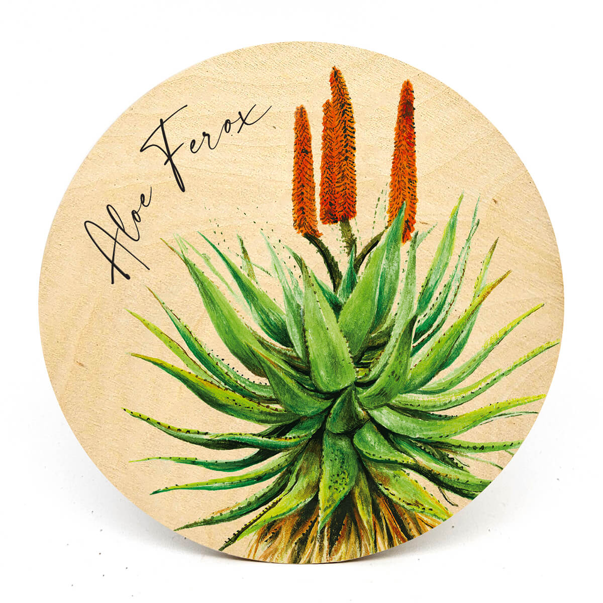 Animal Coasters