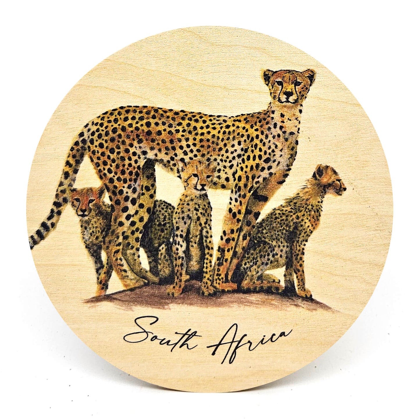 Animal Coasters