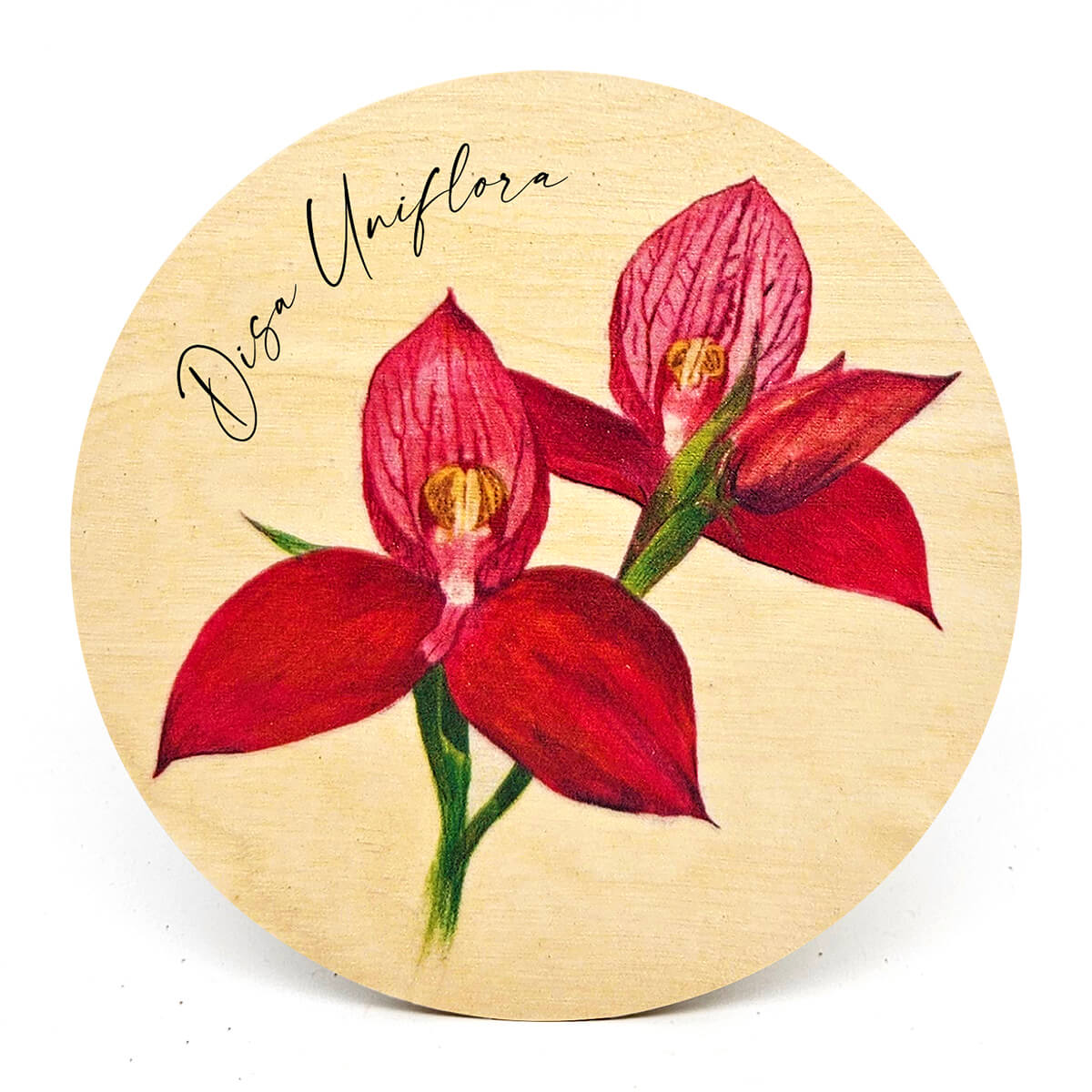 Animal Coasters