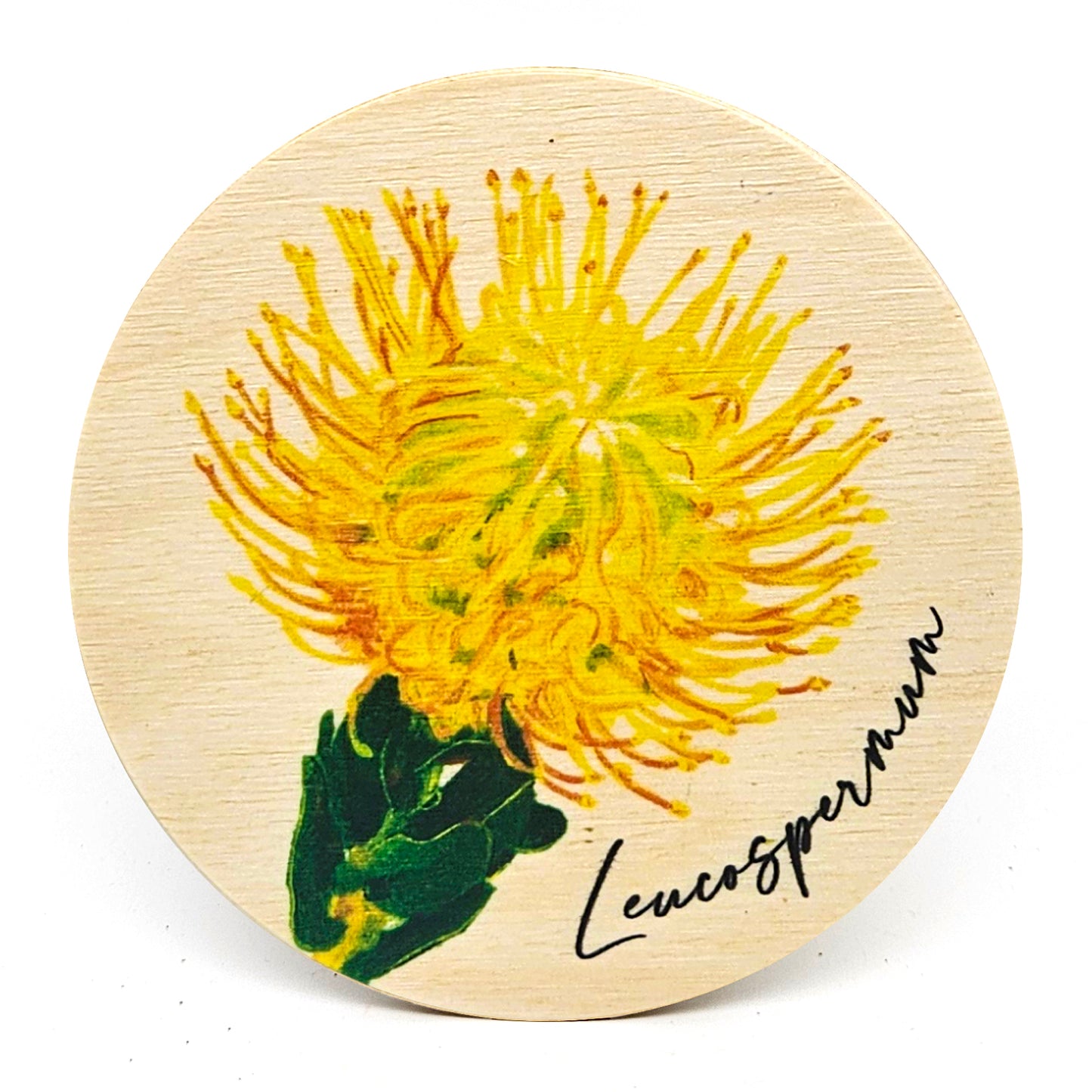 South African Wooden Coasters