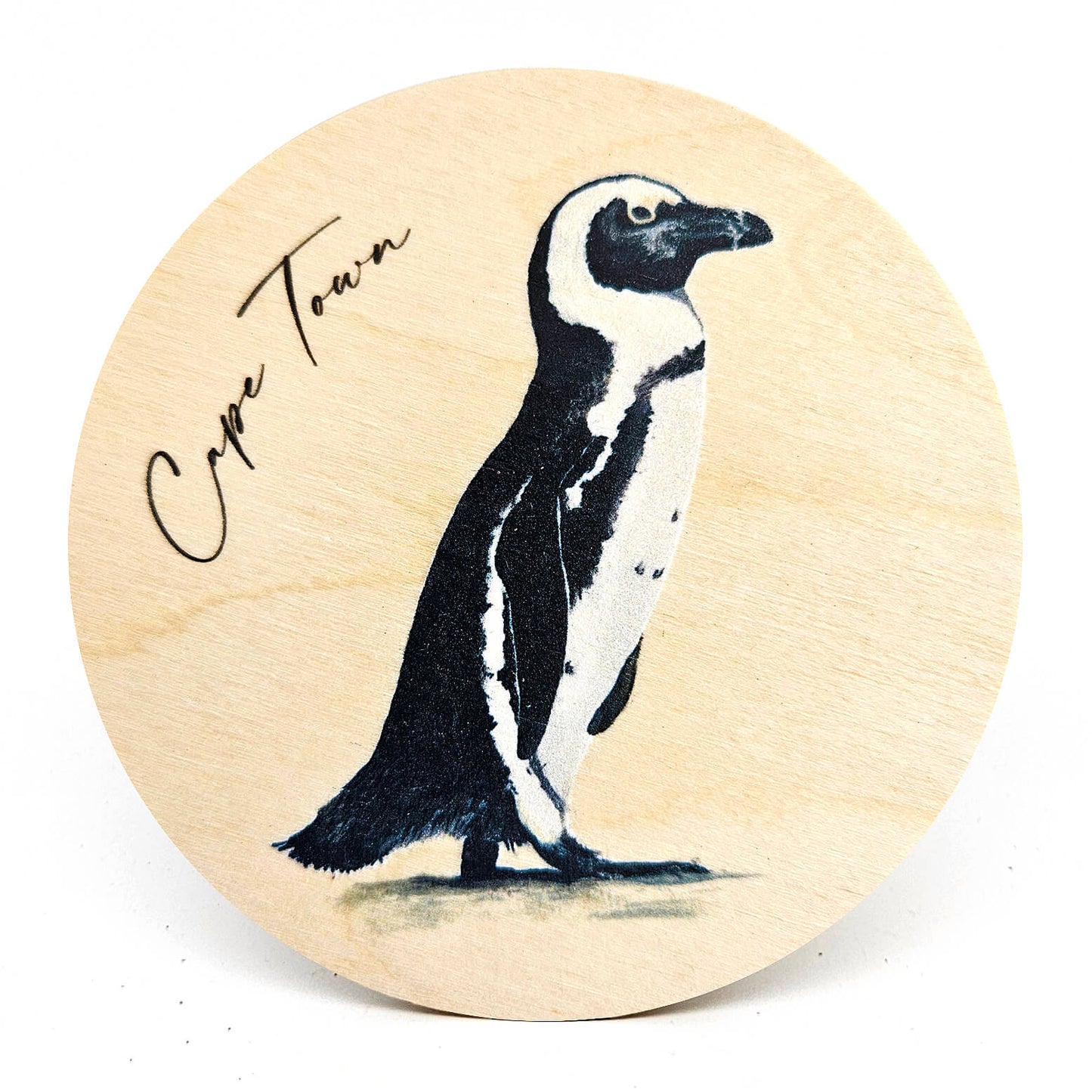 Animal Coasters