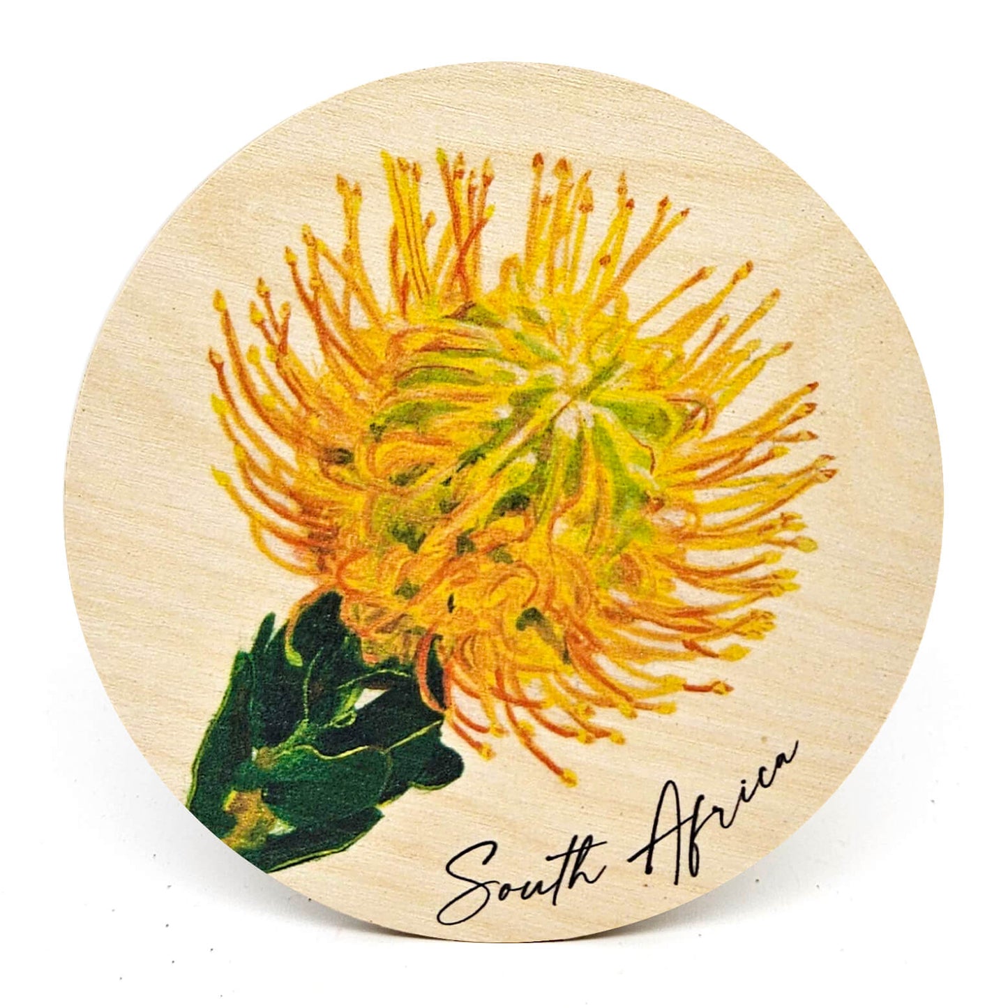 Animal Coasters