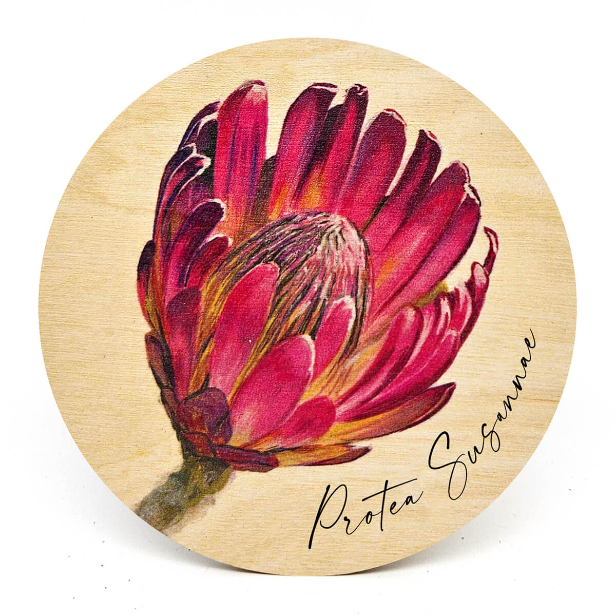 South African Wooden Coasters