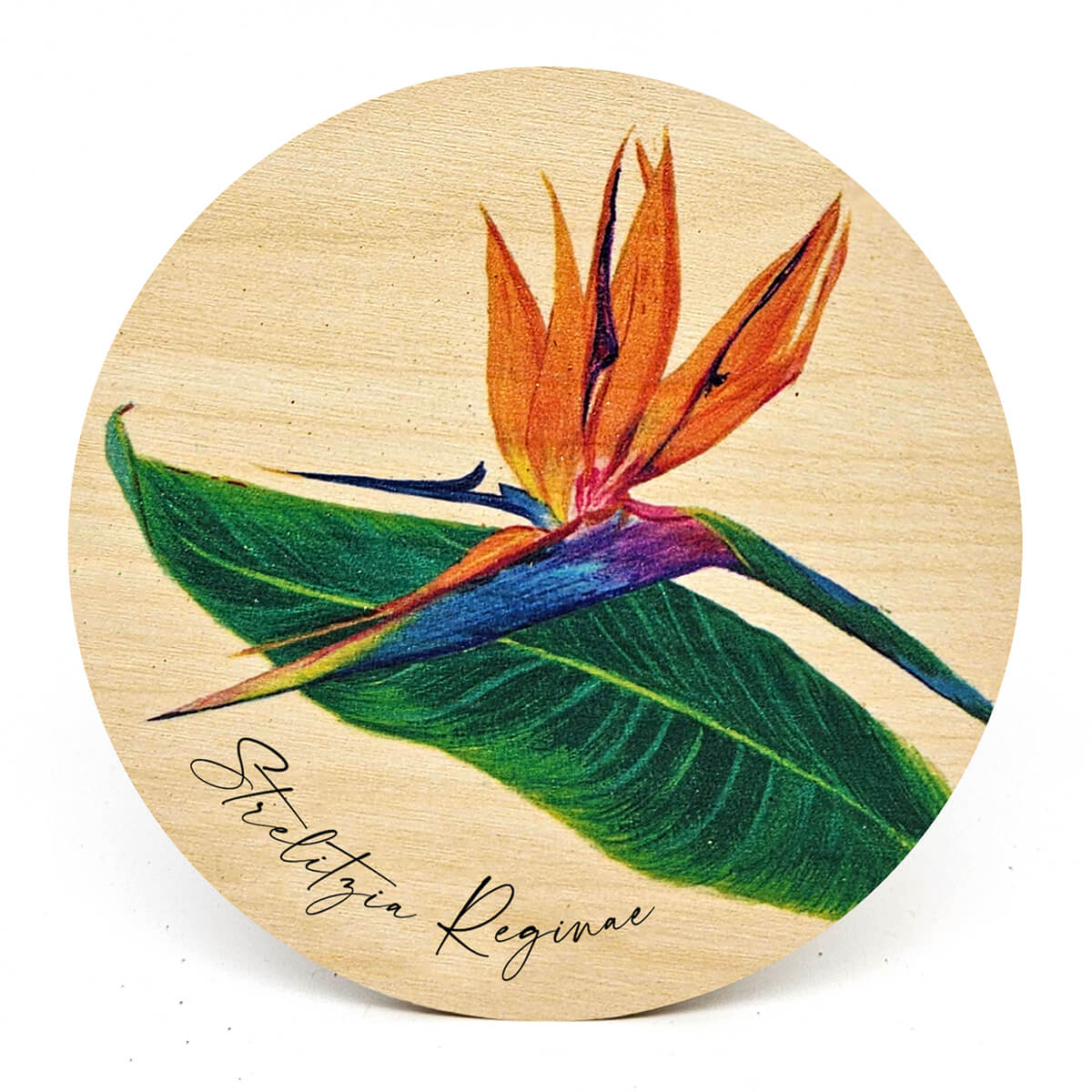 Animal Coasters