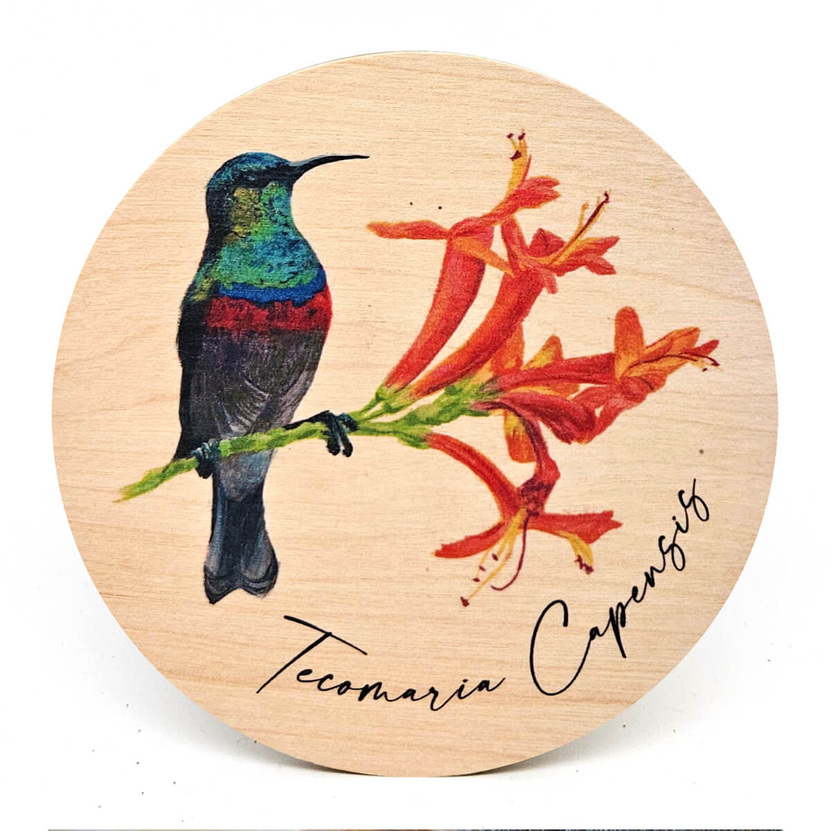 Animal Coasters