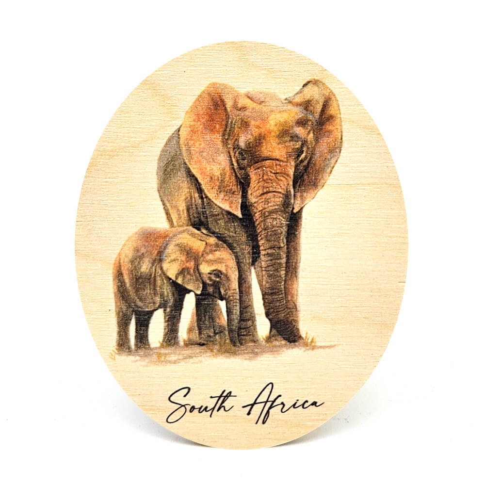 South African Wooden Fridge Magnets