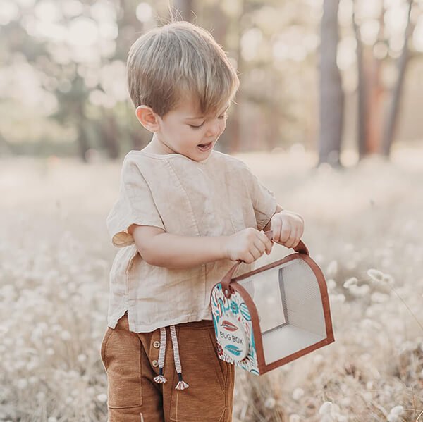 Bug Box & Accessories