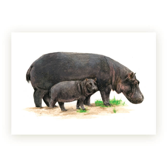 Watercolour African Gift Cards