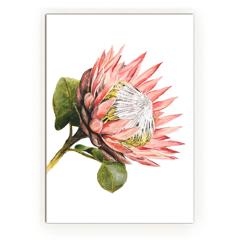 Watercolour African Gift Cards