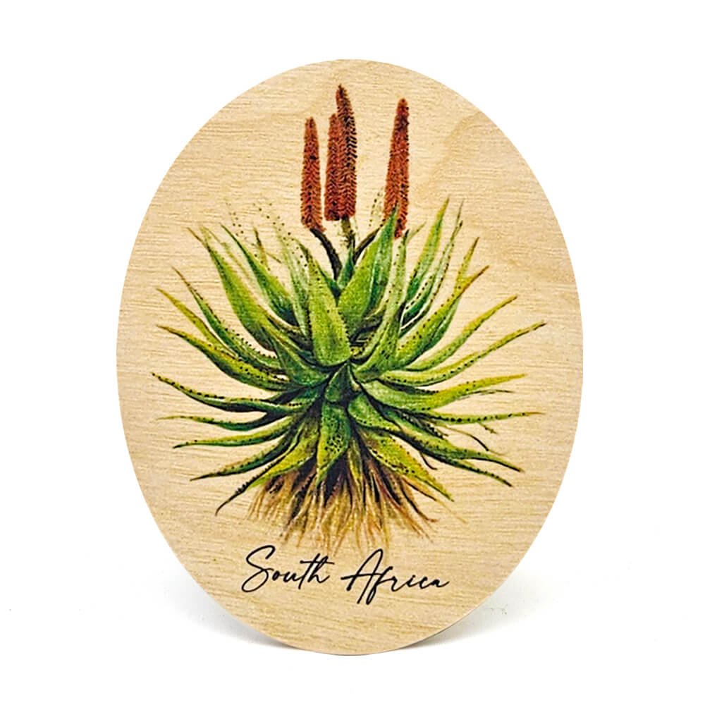 South African Wooden Fridge Magnets