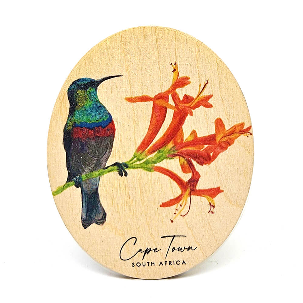 South African Wooden Fridge Magnets