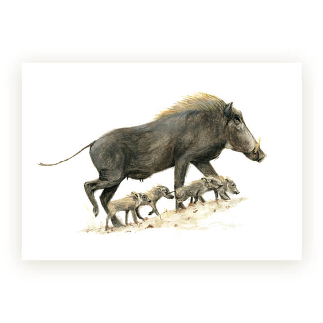 Watercolour African Gift Cards