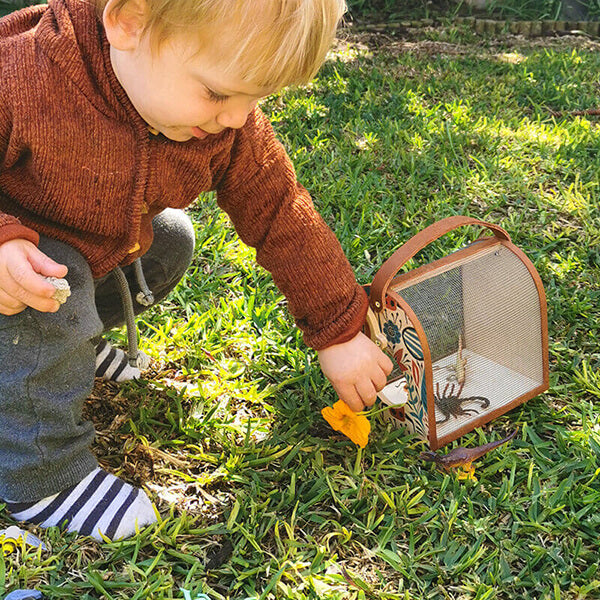 Bug Box & Accessories