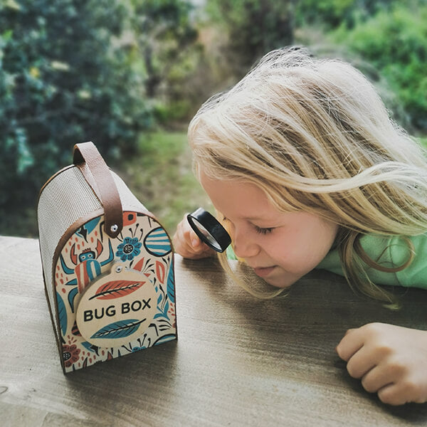 Bug Box & Accessories