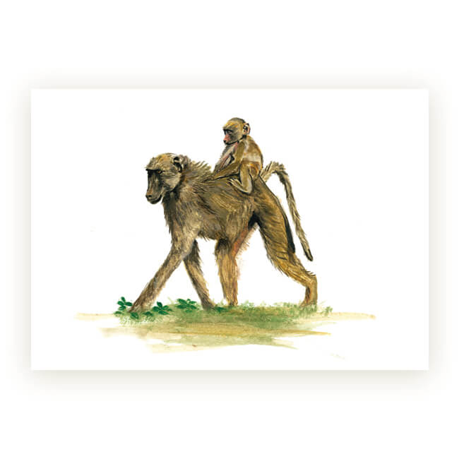 Watercolour African Gift Cards