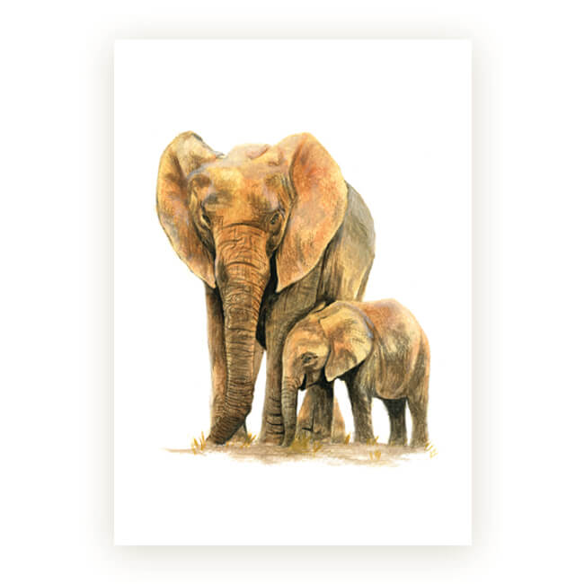 Watercolour African Gift Cards