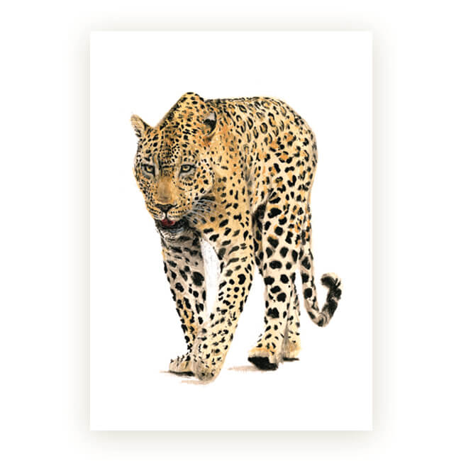 Watercolour African Gift Cards