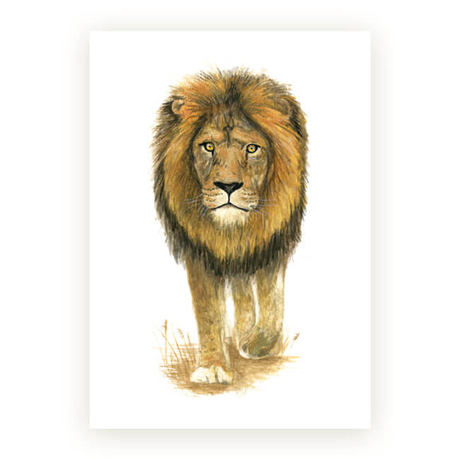 Watercolour African Gift Cards