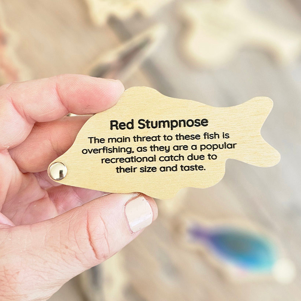 Wooden Magnetic Fishing Game