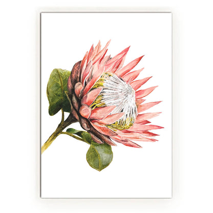 King Protea Mothers Day A6 Gift Card